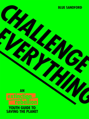 cover image of Challenge Everything